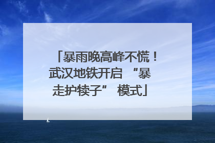 暴雨晚高峰不慌！武汉地铁开启 “暴走护犊子” 模式