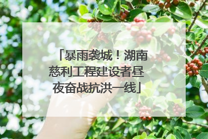 暴雨袭城！湖南慈利工程建设者昼夜奋战抗洪一线