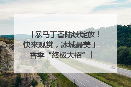 暴马丁香陆续绽放！快来观赏，冰城最美丁香季“终极大招”