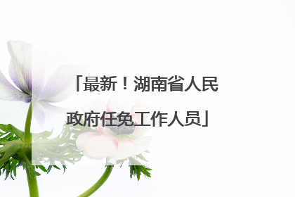 最新!湖南省人民政府任免工作人员