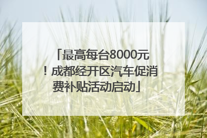 最高每台8000元！成都经开区汽车促消费补贴活动启动