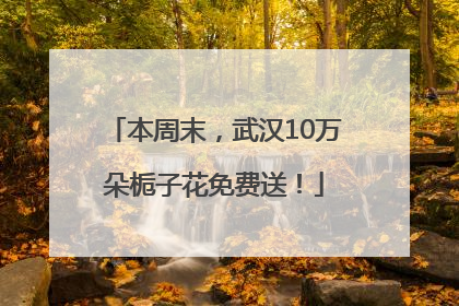 本周末，武汉10万朵栀子花免费送！