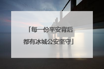 每一份平安背后 都有冰城公安坚守