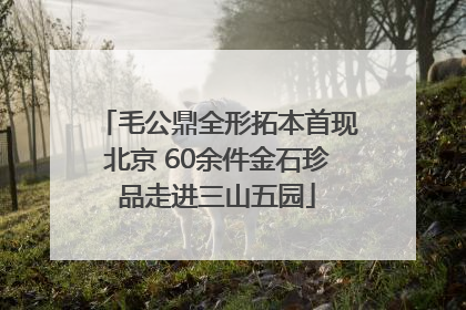 毛公鼎全形拓本首现北京 60余件金石珍品走进三山五园