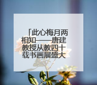 此心梅月两相知——唐建教授从教四十载书画展盛大开幕