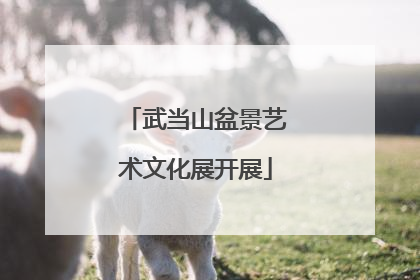 武当山盆景艺术文化展开展