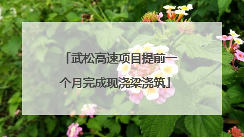 武松高速项目提前一个月完成现浇梁浇筑