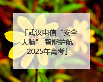 武汉电信“安全大脑” 智能护航2025年高考