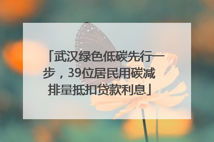 武汉绿色低碳先行一步，39位居民用碳减排量抵扣贷款利息