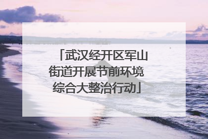 武汉经开区军山街道开展节前环境综合大整治行动