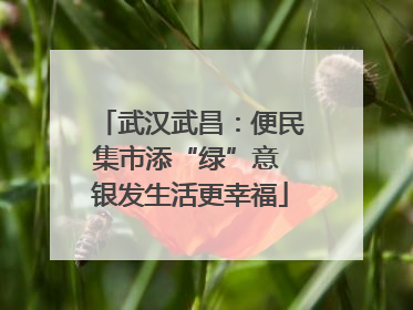 武汉武昌：便民集市添“绿”意 银发生活更幸福