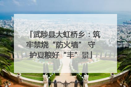 武陟县大虹桥乡：筑牢禁烧“防火墙” 守护夏粮好“丰”景