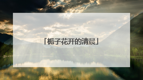 栀子花开的清晨