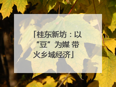 桂东新坊：以“豆”为媒 带火乡域经济