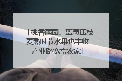 桃香满园、蓝莓压枝 麦熟时节水果也丰收 产业路宽富农家