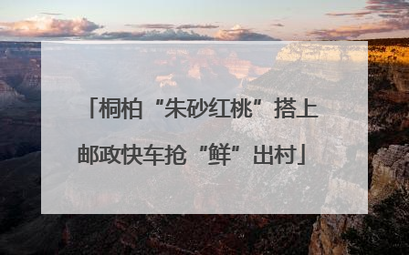 桐柏“朱砂红桃”搭上邮政快车抢“鲜”出村