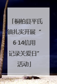 桐柏县平氏镇扎实开展“6·14信用记录关爱日”活动