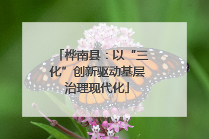 桦南县:以“三化”创新驱动基层治理现代化