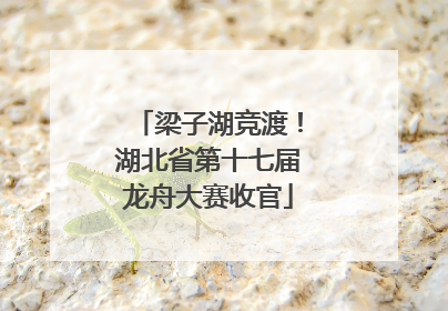 梁子湖竞渡！湖北省第十七届龙舟大赛收官