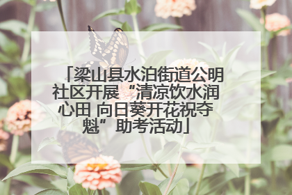 梁山县水泊街道公明社区开展“清凉饮水润心田 向日葵开花祝夺魁”助考活动