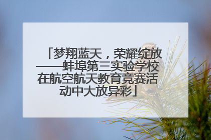 梦翔蓝天，荣耀绽放——蚌埠第三实验学校在航空航天教育竞赛活动中大放异彩