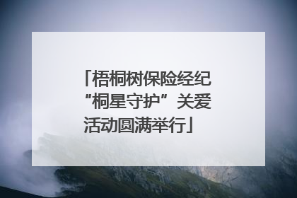 梧桐树保险经纪“桐星守护”关爱活动圆满举行