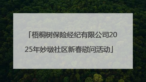 梧桐树保险经纪有限公司2025年妙墩社区新春慰问活动