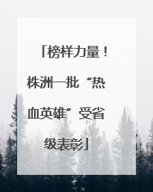 榜样力量！株洲一批“热血英雄”受省级表彰