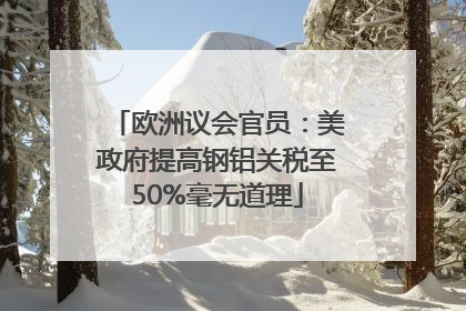 欧洲议会官员：美政府提高钢铝关税至50%毫无道理
