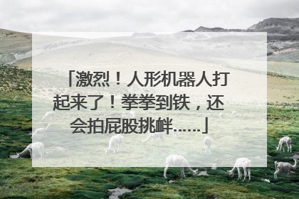 激烈！人形机器人打起来了！拳拳到铁，还会拍屁股挑衅……