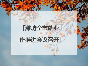 潍坊全市就业工作推进会议召开