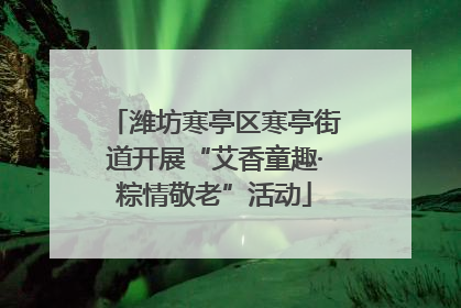潍坊寒亭区寒亭街道开展“艾香童趣·粽情敬老”活动
