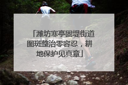 潍坊寒亭固堤街道图斑整治零容忍，耕地保护见真章