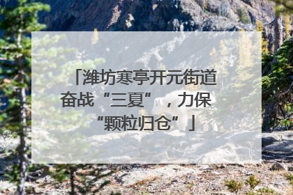 潍坊寒亭开元街道奋战“三夏”，力保“颗粒归仓”