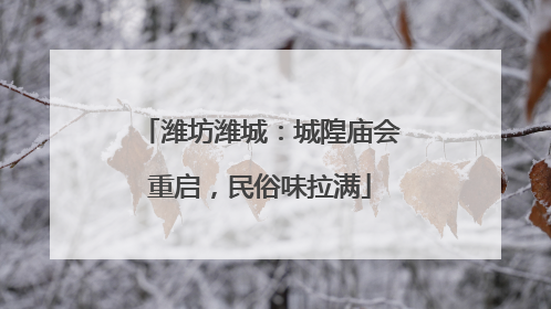 潍坊潍城：城隍庙会重启，民俗味拉满