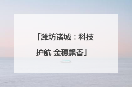潍坊诸城：科技护航 金穗飘香