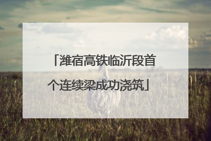 潍宿高铁临沂段首个连续梁成功浇筑