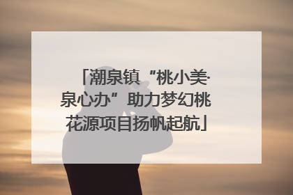 潮泉镇“桃小美·泉心办”助力梦幻桃花源项目扬帆起航
