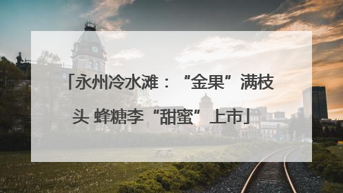 永州冷水滩：“金果”满枝头 蜂糖李“甜蜜”上市