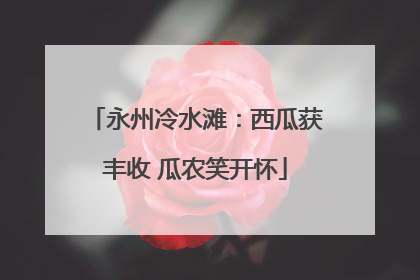 永州冷水滩：西瓜获丰收 瓜农笑开怀