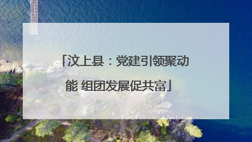 汶上县：党建引领聚动能 组团发展促共富