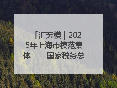 汇劳模｜2025年上海市模范集体——国家税务总局上海市徐汇区税务局第一税务所