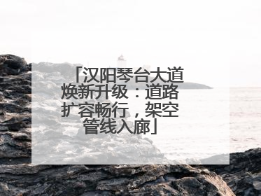 汉阳琴台大道焕新升级：道路扩容畅行，架空管线入廊