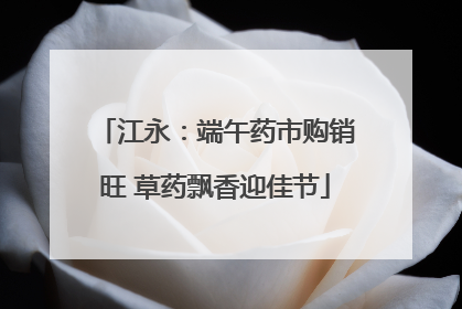 江永：端午药市购销旺 草药飘香迎佳节