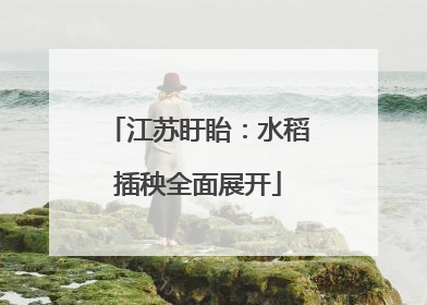 江苏盱眙：水稻插秧全面展开