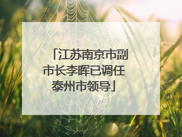 江苏南京市副市长李晖已调任泰州市领导