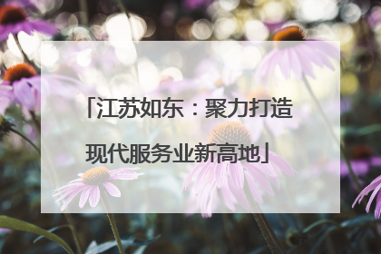 江苏如东：聚力打造现代服务业新高地