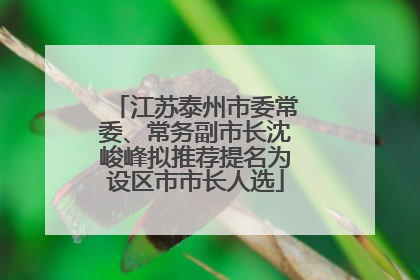 江苏泰州市委常委、常务副市长沈峻峰拟推荐提名为设区市市长人选