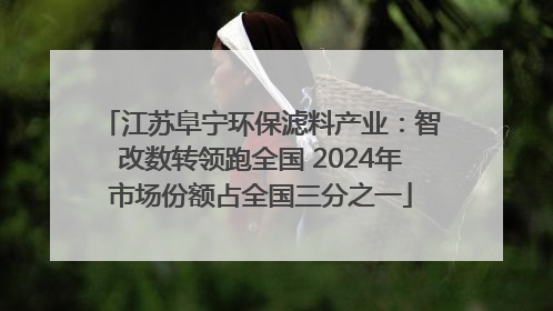 江苏阜宁环保滤料产业：智改数转领跑全国 2024年市场份额占全国三分之一