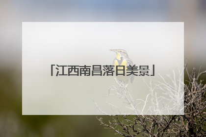 江西南昌落日美景